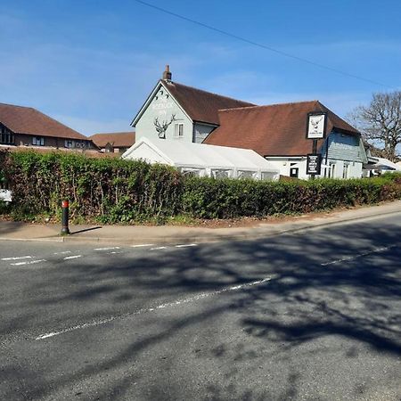 The Roebuck Inn Southampton Exterior foto